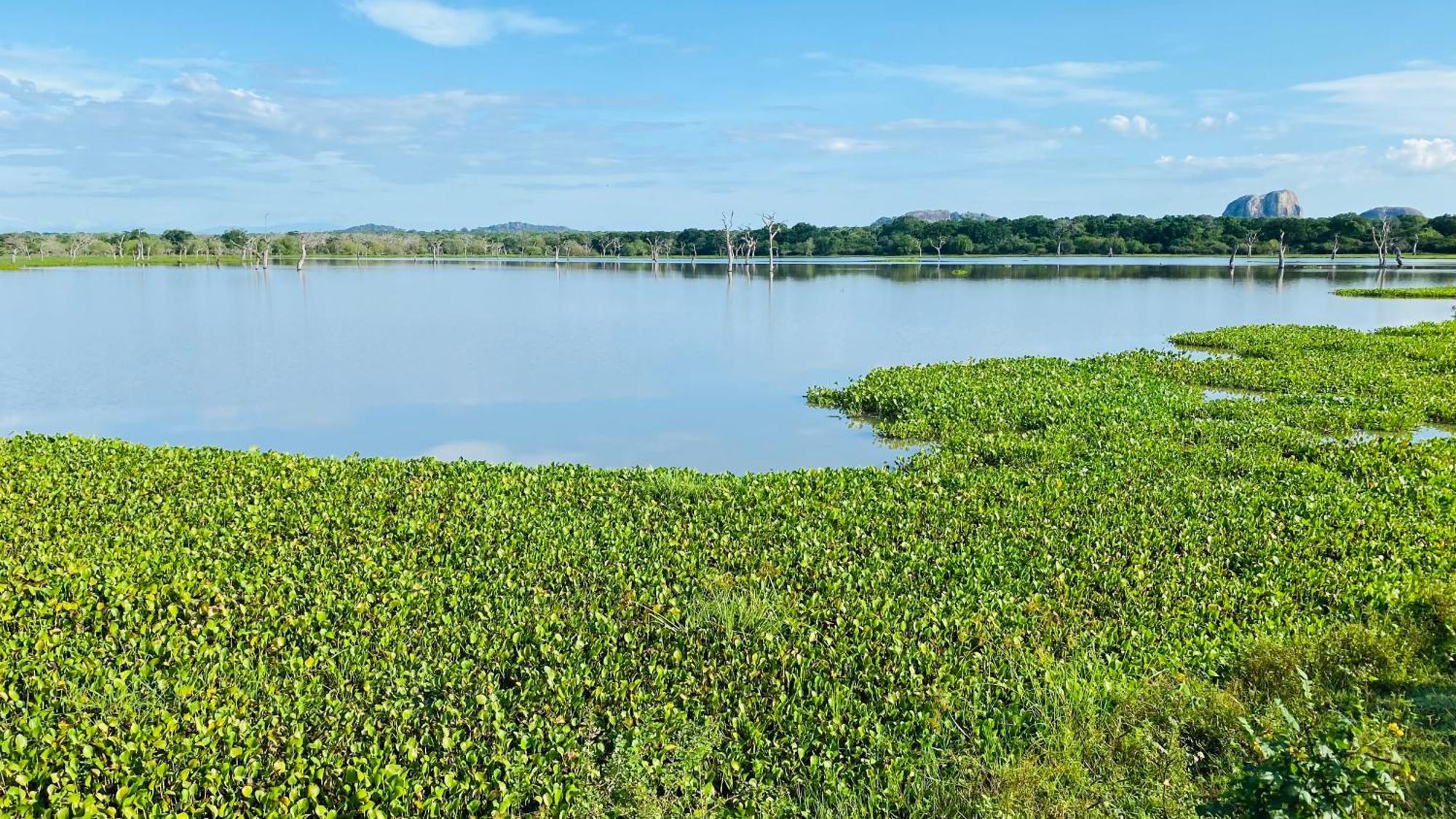 Attale Resort Tissamaharama Zewnętrze zdjęcie